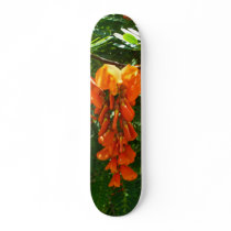 Scarlet Wisteria (Sesbania punicea) Skateboard