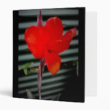 Scarlett Burst Binder