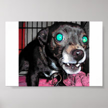 Scary Bailey Print