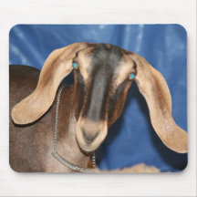 Scary eyed Nubian goat kid head picture Mouse Pads