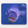 Scary Fish Mouse Pad