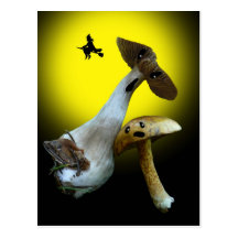 Scary Halloween Mushrooms Postcard