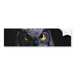 Scary owl bumper stickers