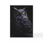 Scary owl cards