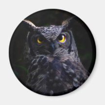 Scary owl magnets