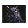 Scary owl postcards