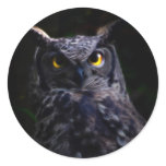 Scary owl stickers