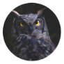 Scary owl stickers