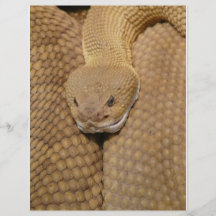 Scary Rattlesnake Photo Flyers