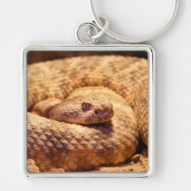 Scary Spotted Rattlesnake Key Chain