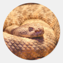 Scary Spotted Rattlesnake Stickers