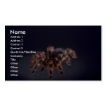 Scary Tarantula spider Business Cards