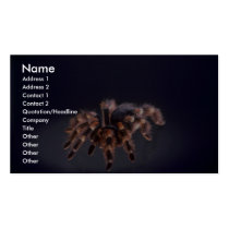 Scary Tarantula spider business cards