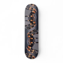 Scary Tarantula spider Skate Board