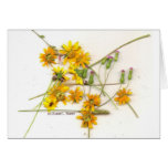 Scattered wildflowers in yellow and white greeting cards