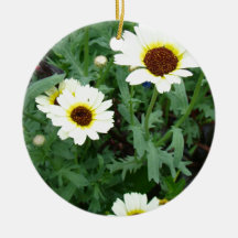 Scattering of Daisies Ornaments