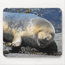 scellez en riant, phoque riant nerveusement mignon tapis de souris