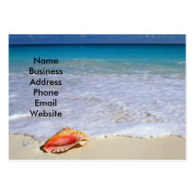 Scène de plage et carte de visite de coquillage