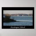 Scene from Assateague Island posters