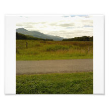 scene in ireland art photo