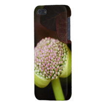 scene pristine case for iPhone 5