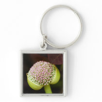 scene pristine keychains