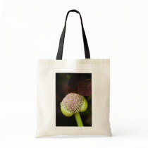 scene pristine bags