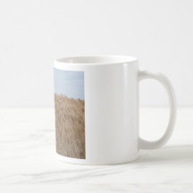 scenery 2 mug