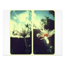Scenery Custom Invitation