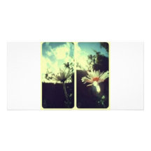 Scenery Photo Greeting Card