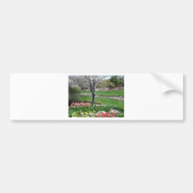 scenery,springtime bumper stickers