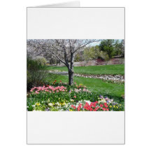 scenery,springtime card