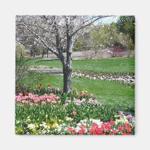 scenery,springtime refrigerator magnets