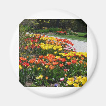scenery,tulip path fridge magnet