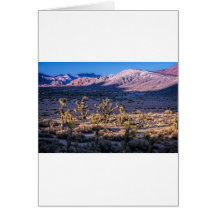 Scenic Canyon Twilight Greeting Card