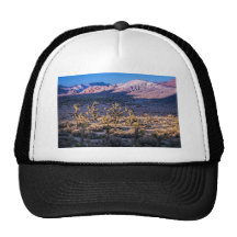 Scenic Canyon Twilight Trucker Hats