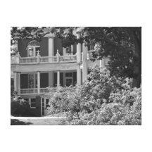 Scenic Landscape Canvas Print