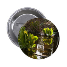 Scenic view pinback button