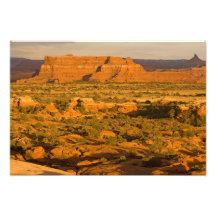 Scenic winter desert landscape on the way into photo print