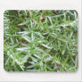 Scent of the Pine Mouse Pad