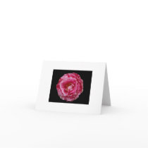 Scentimental Floribunda Rose Notecard