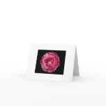 Scentimental Floribunda Rose Notecard