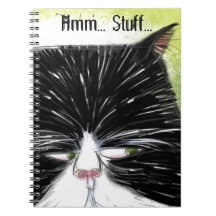 Sceptical cat spiral note books