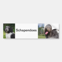schapendoes bumper stickers