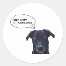 Schatzi says: Here Kitty...Kitty...Kitty...Kitty Round Sticker