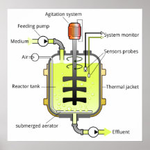 Schematic Structure of a Batch Type Bioreactor Print