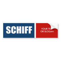 SCHIFF 2010