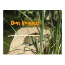 Schildkröte Bon Voyage ! Postkarte