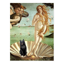 Schipperke 5 - Birth of Venus Postcard
