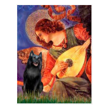 Schipperke 5 - Mandolin Angel Post Cards